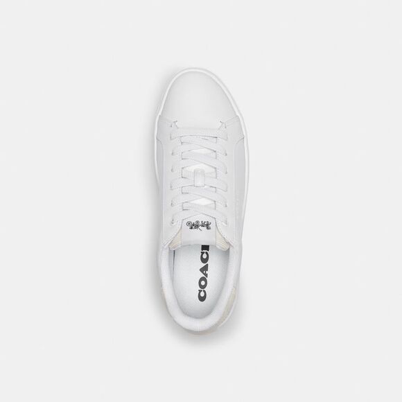 NWT Coach Outlet Clip Low Top Sneaker - Picture 3 of 6